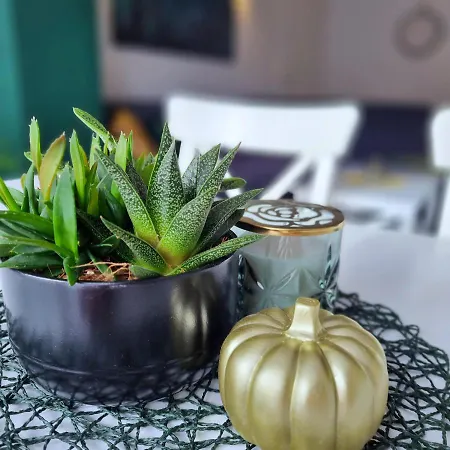 Apartment Harmony Holiday Junkerath